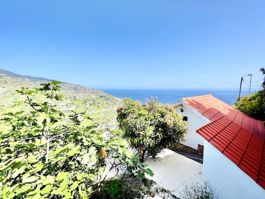 Mar A Vista By Your Madeira Rentals Ponta do Sol  Buitenkant foto